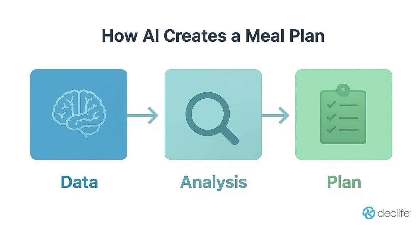 Infographic about personalized meal plans for weight loss